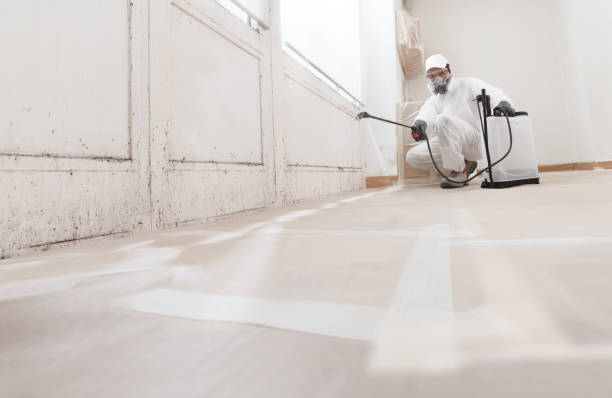 24/7 Emergency Commercial Mold Remediation experts in Brunswick, NC